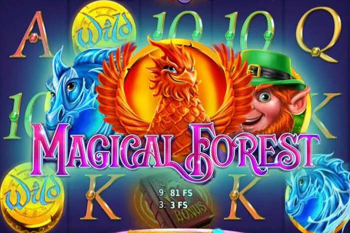 Optimiser l'Expérience Utilisateur chez MyStake Casino.