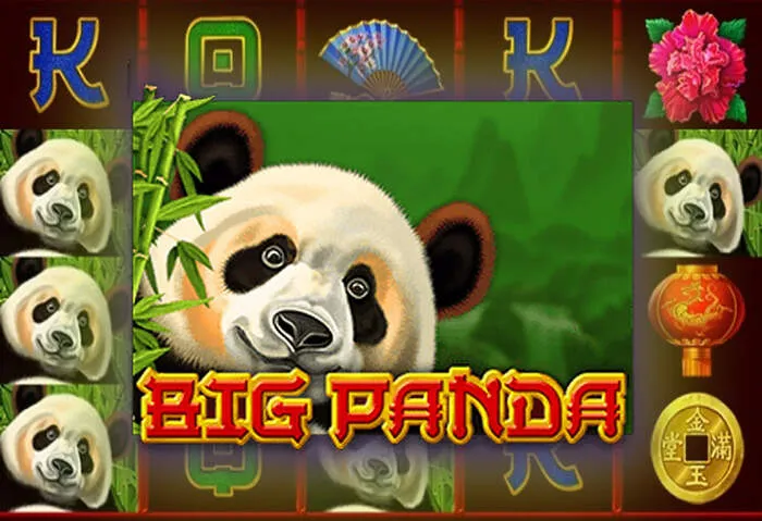 MyStake Casino 24/7 Kundenservice