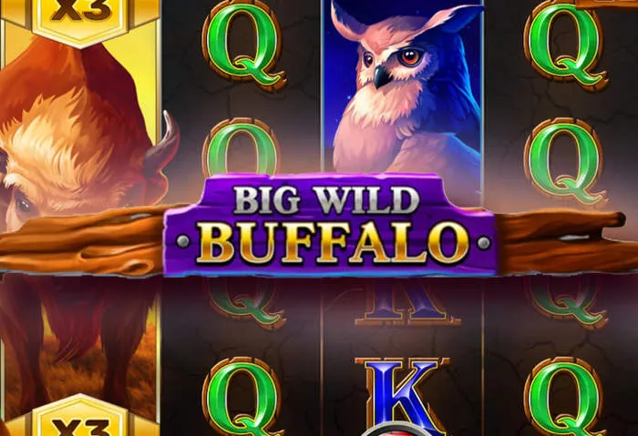 Spannende Slots und das MyStake Casino Cashback Angebot.