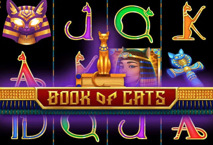 Attiva subito il MyStake Casino Bonus Senza Deposito esclusivo.