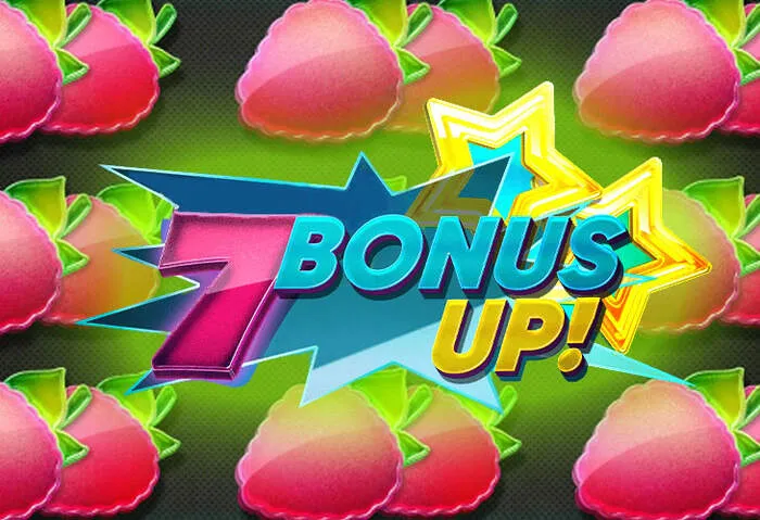 24/7 MyStake Casino Bonus Kundenservice Team.