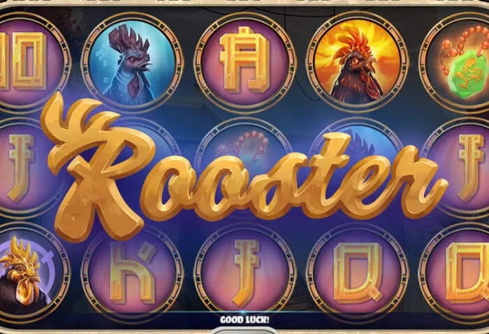 MyStake Casino Bonus Gewinnfeier bei Spielrunde.
